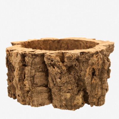 Saksija od Kore Drveta Plutnjaka