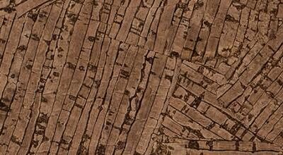 R Cork Colored - Melon Brown