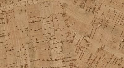 R Cork Natural - Kiwi