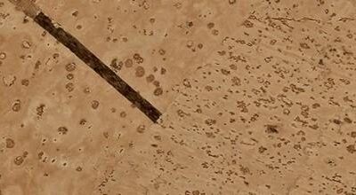 R Cork Natural - Orange