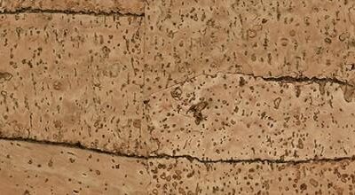 R Cork Natural - Peach