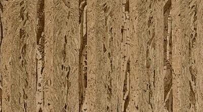 R Cork Natural - Tamarind