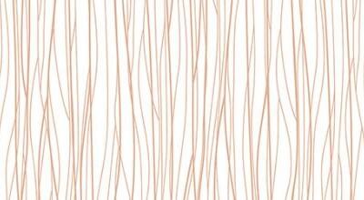 R Patterns Connect Meca Orange